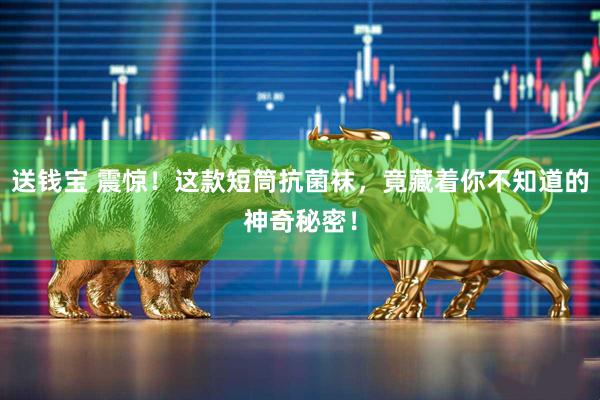 送钱宝 震惊！这款短筒抗菌袜，竟藏着你不知道的神奇秘密！